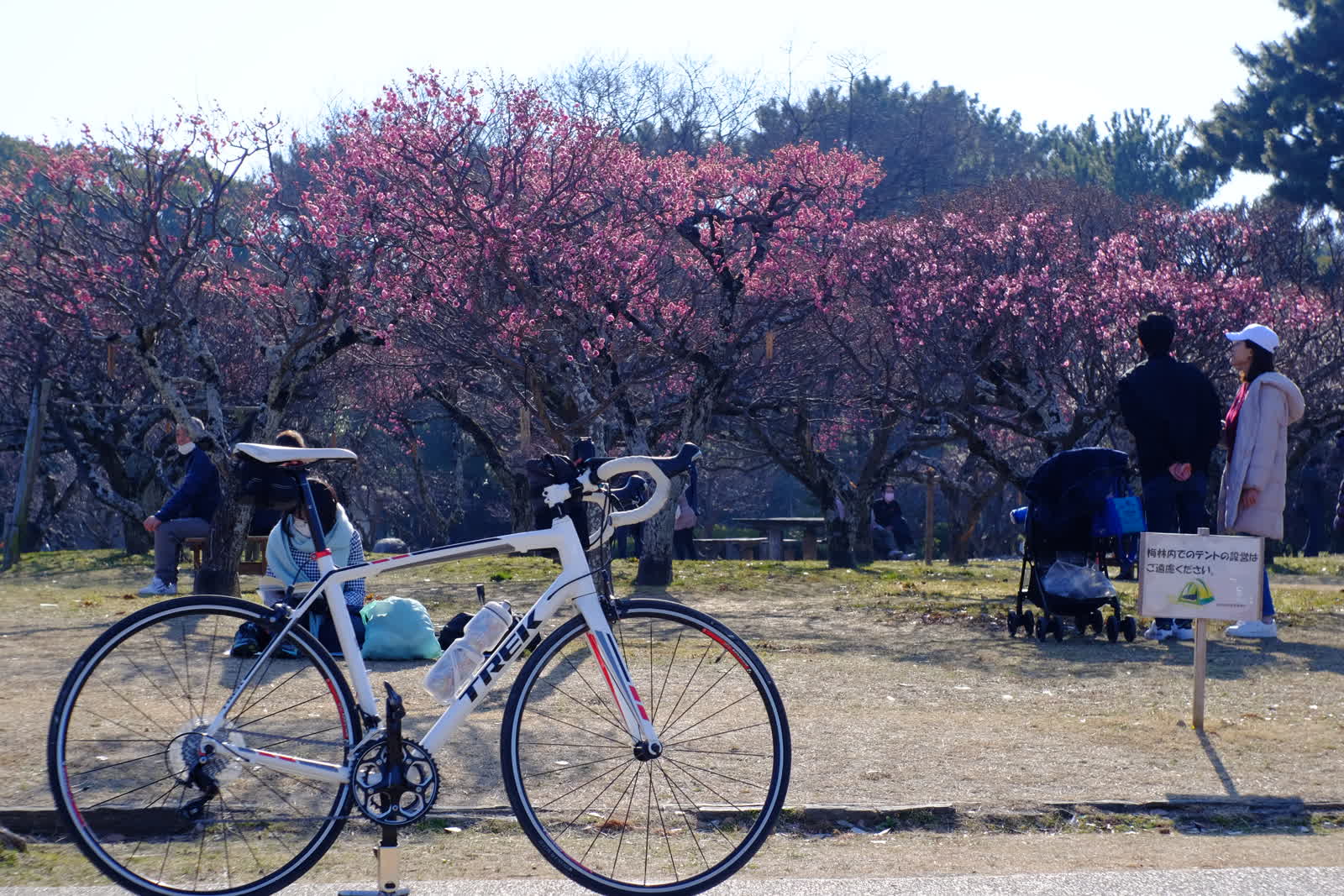服部緑地の梅林と自転車
