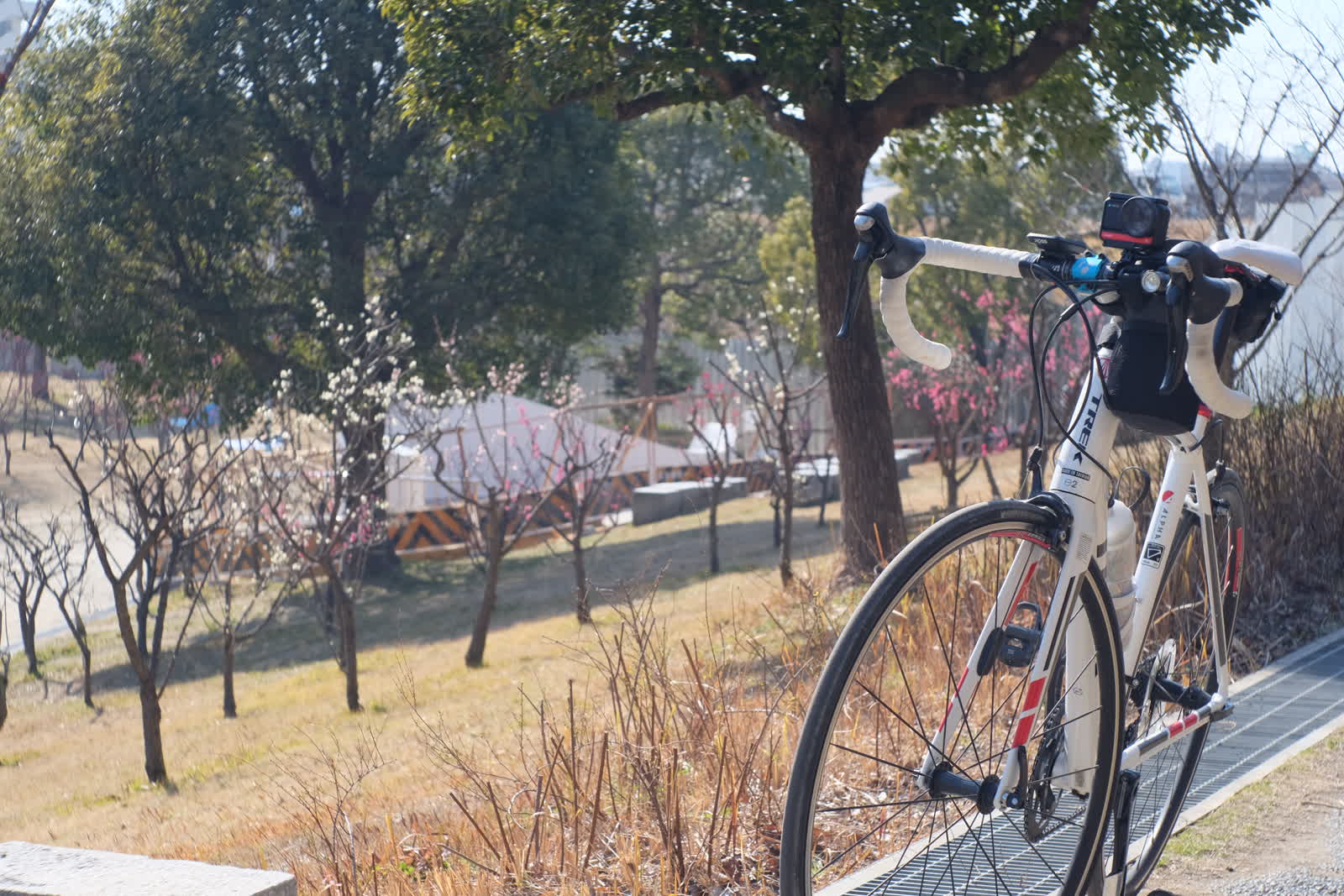 城北公園の梅林と自転車
