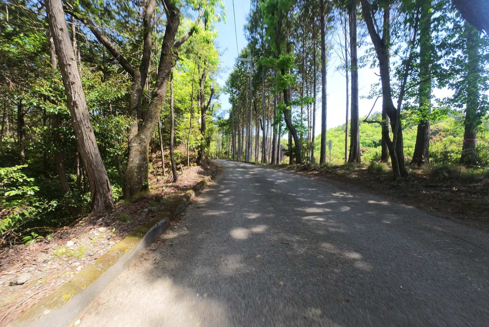 山道を登る