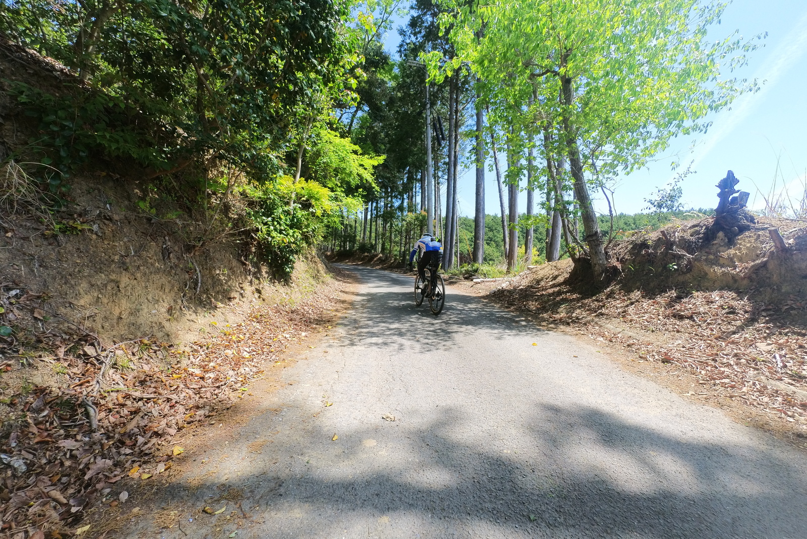 ロードバイクに抜かされる