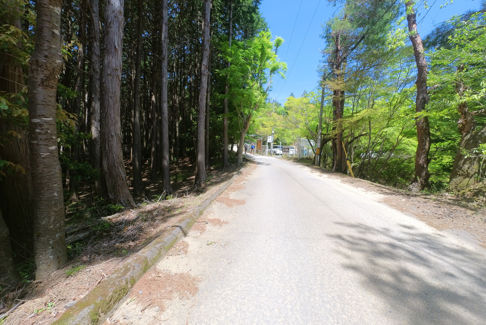 本山寺の駐車場手前の道