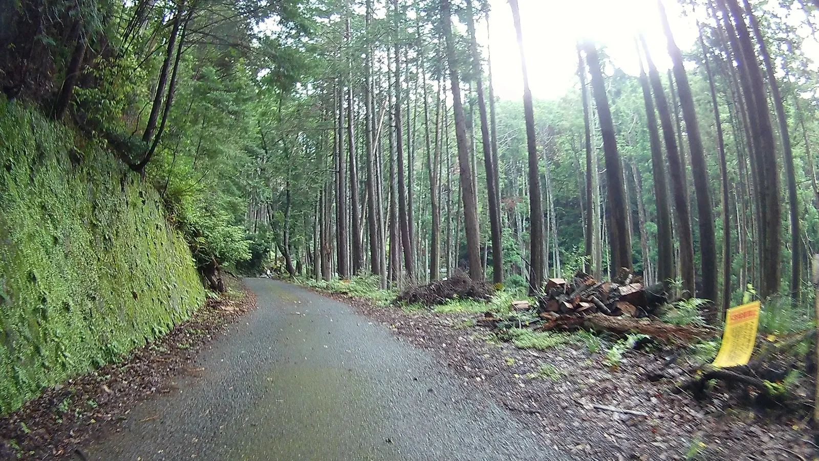 下り坂