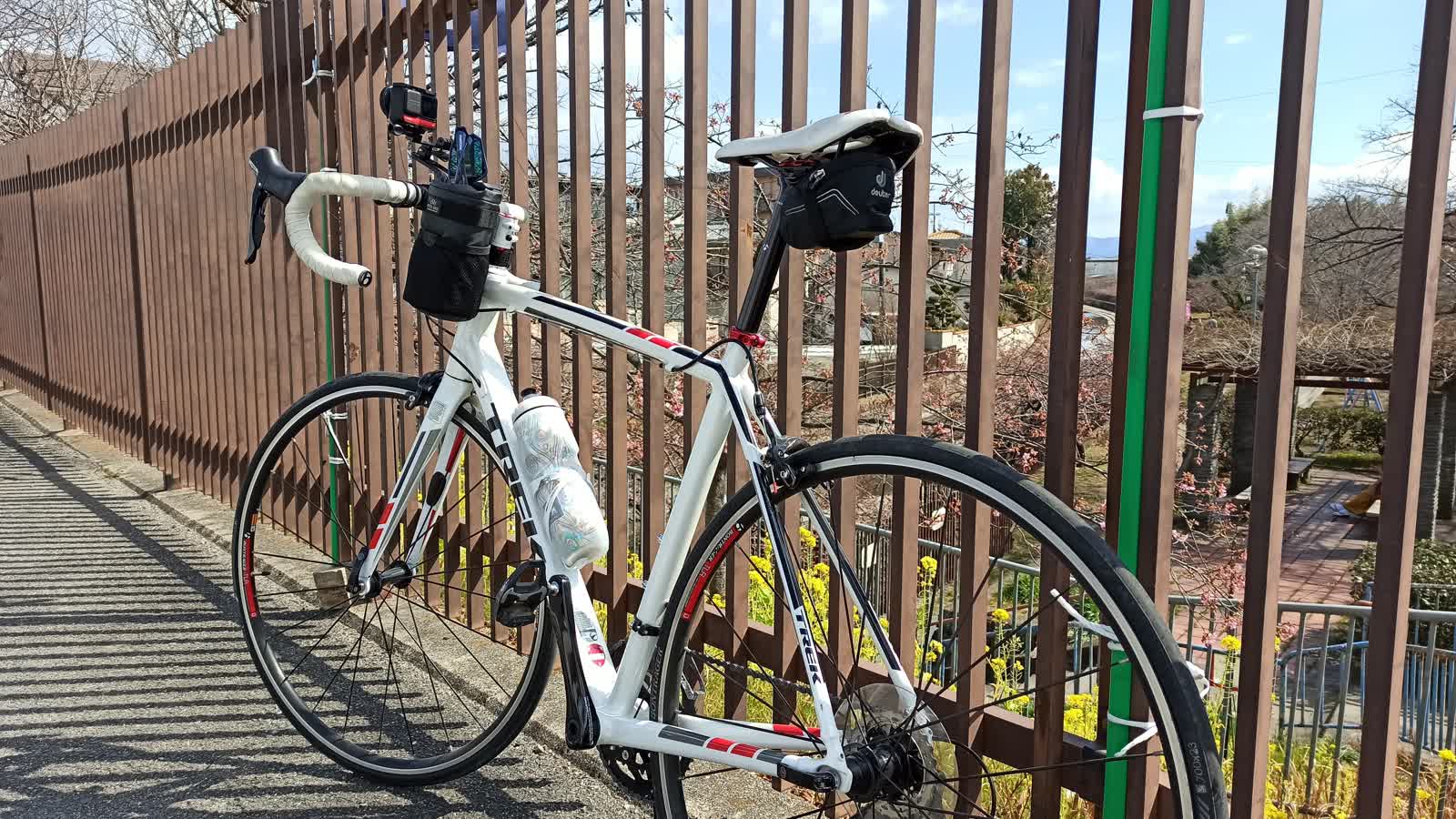 淀水路に到着