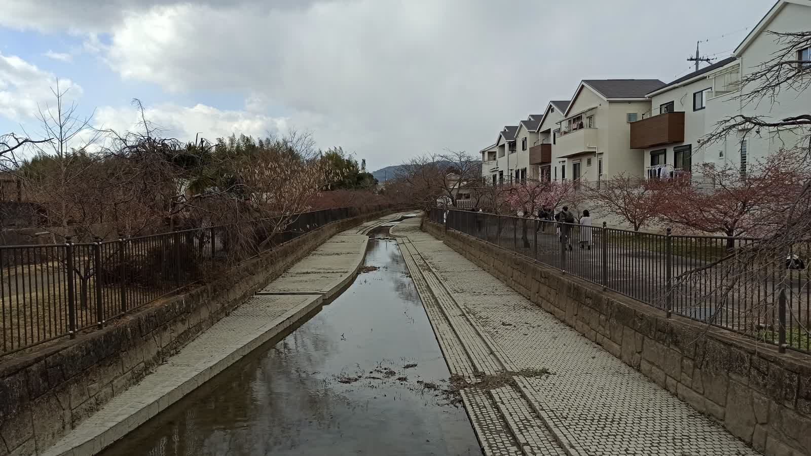 淀水路全体
