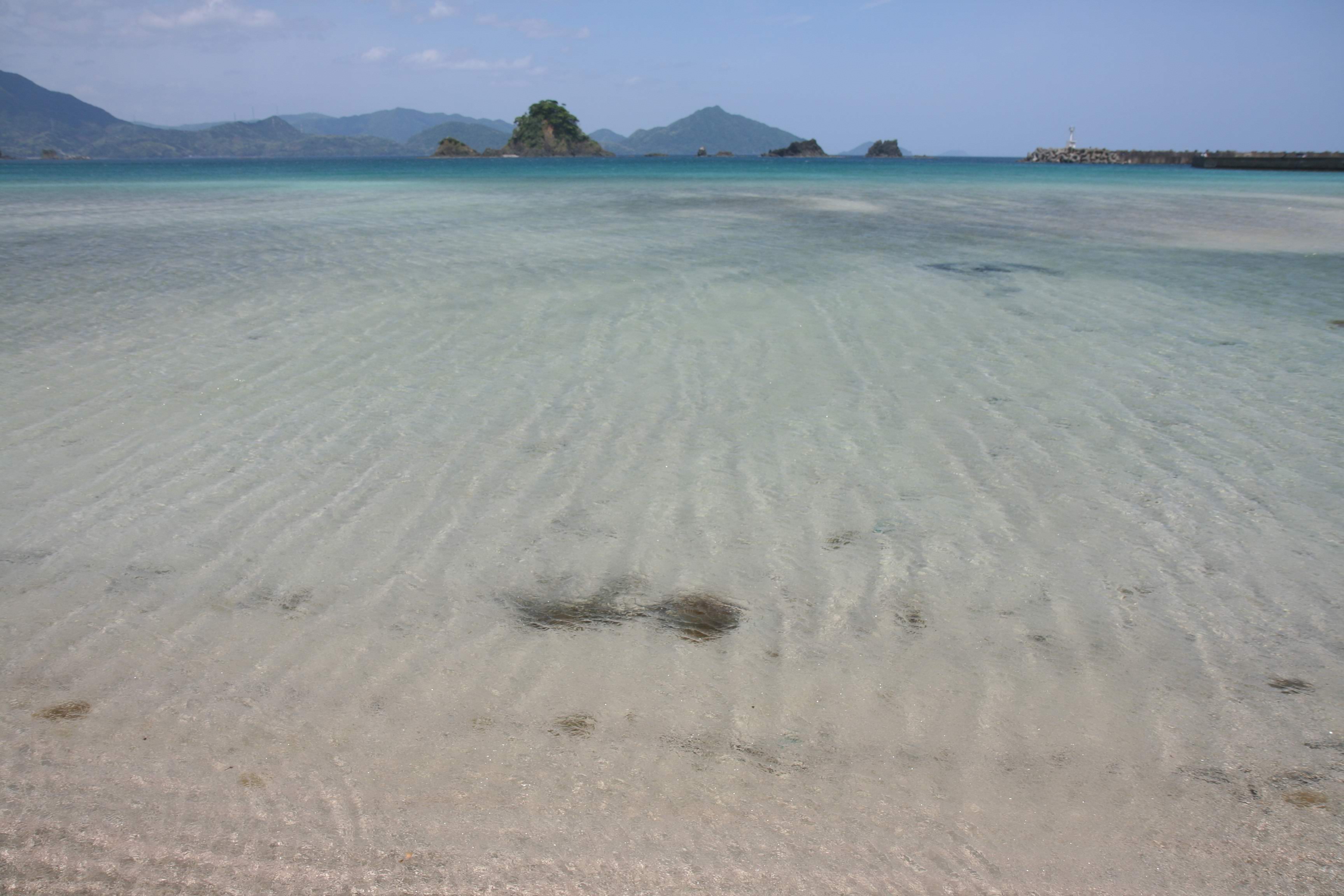 透明な海