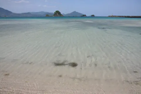 透明な海