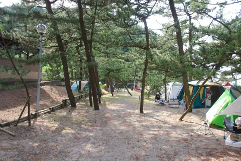 松林区画サイト