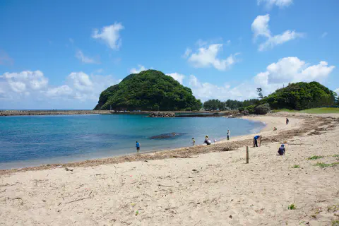 砂浜フリーサイト