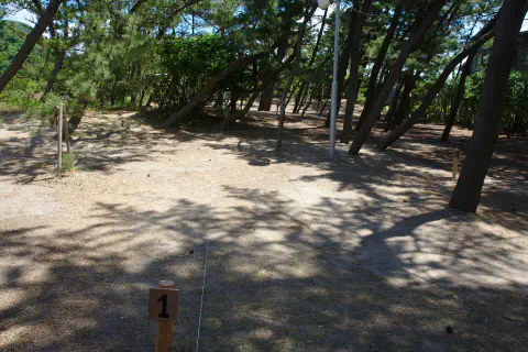 松林フリーサイト