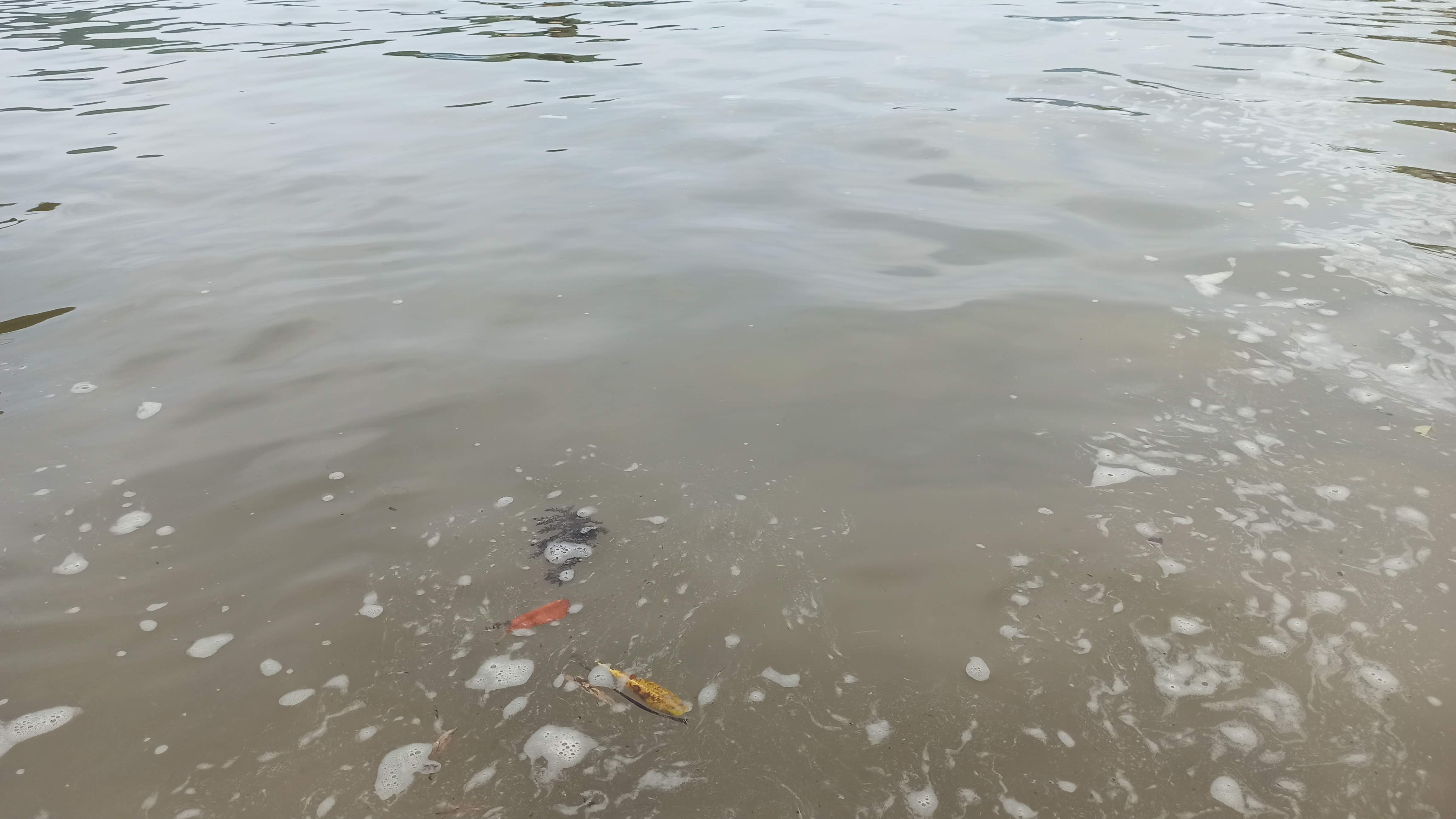 泡の浮いた茶色い水