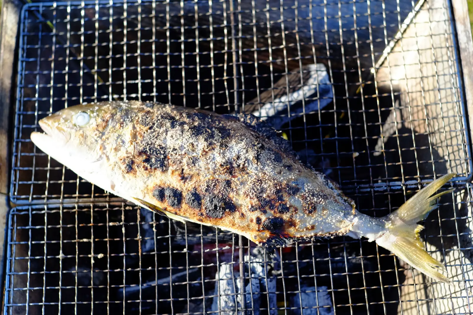 カンパチの塩焼き