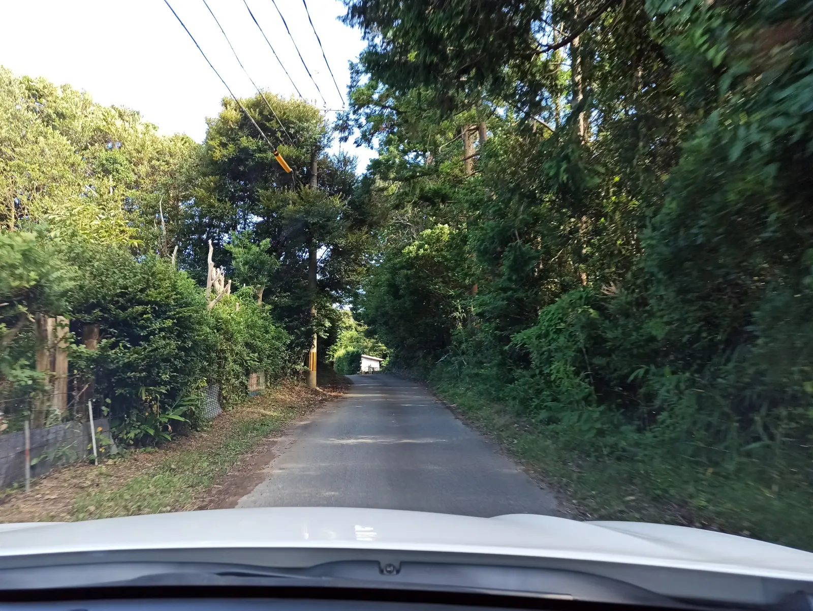 キャンプ場への狭い道