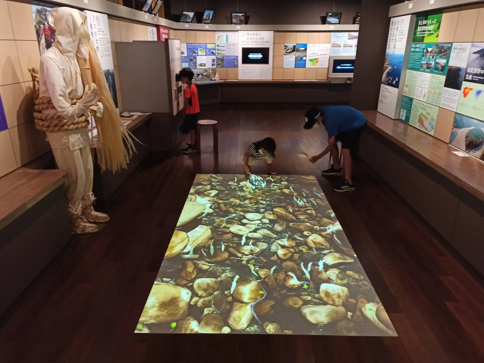 泳ぐ魚のプロジェクション