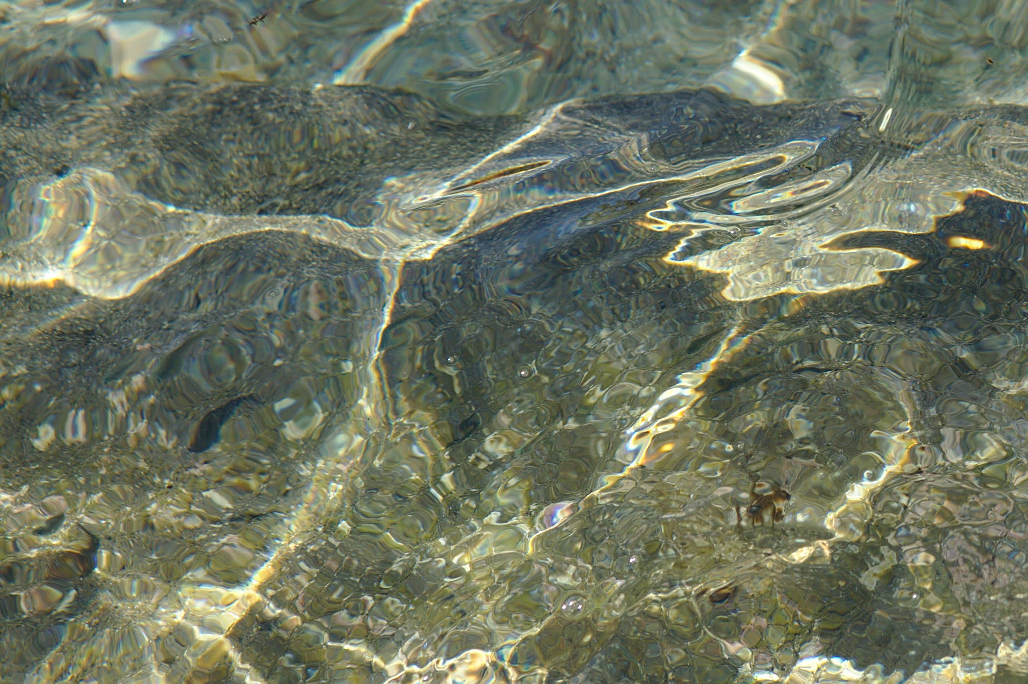 きれいな水