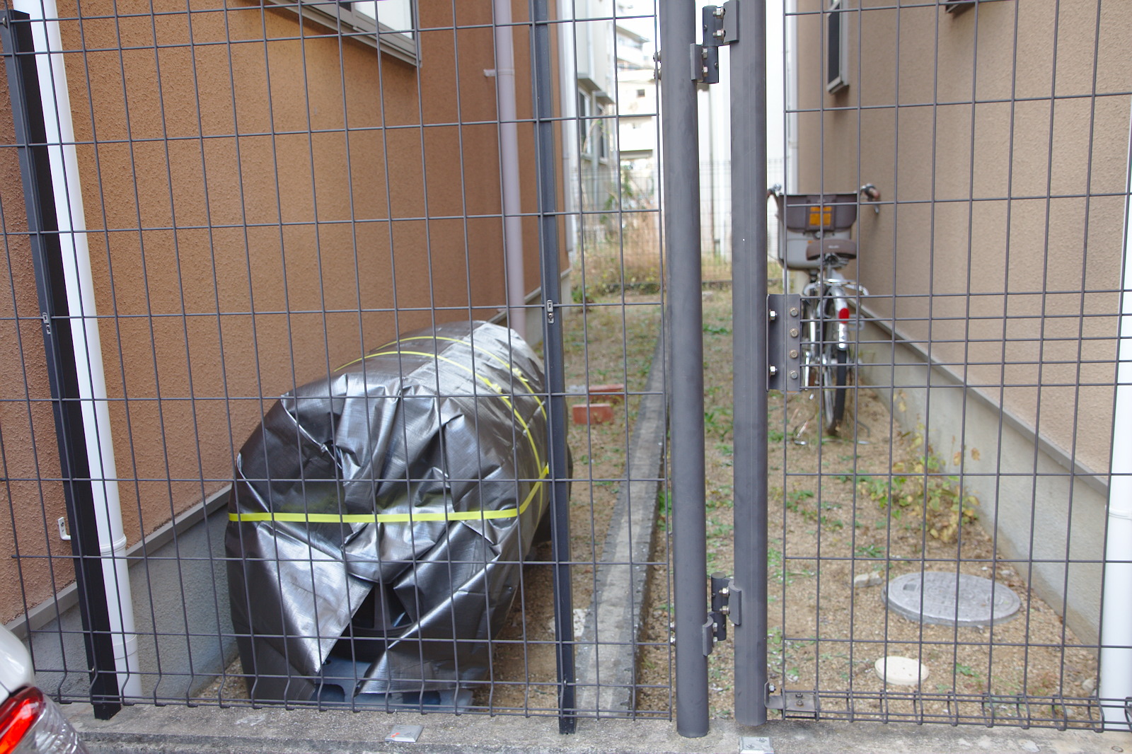 庭の様子