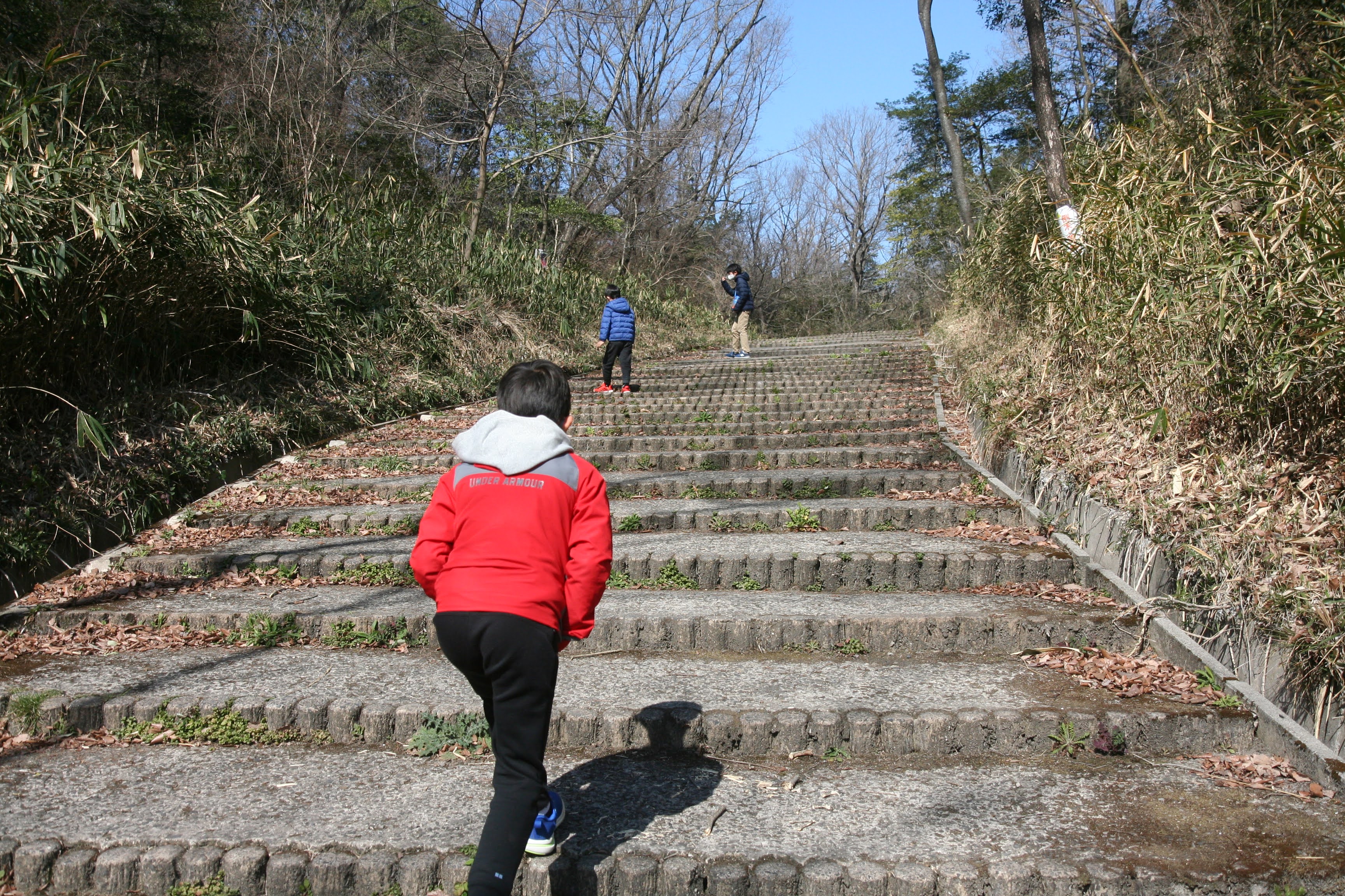 階段を登る