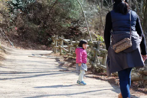 整備された道に出た