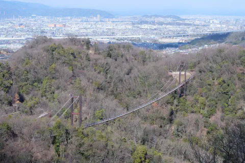 星のブランコを見下ろす