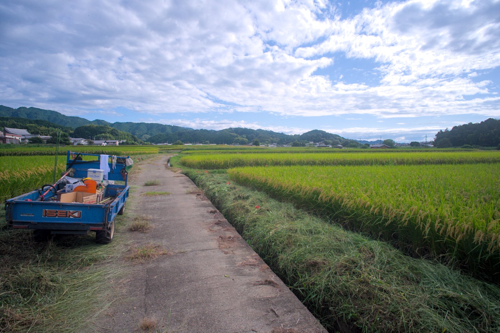 のどかな田園風景を歩く