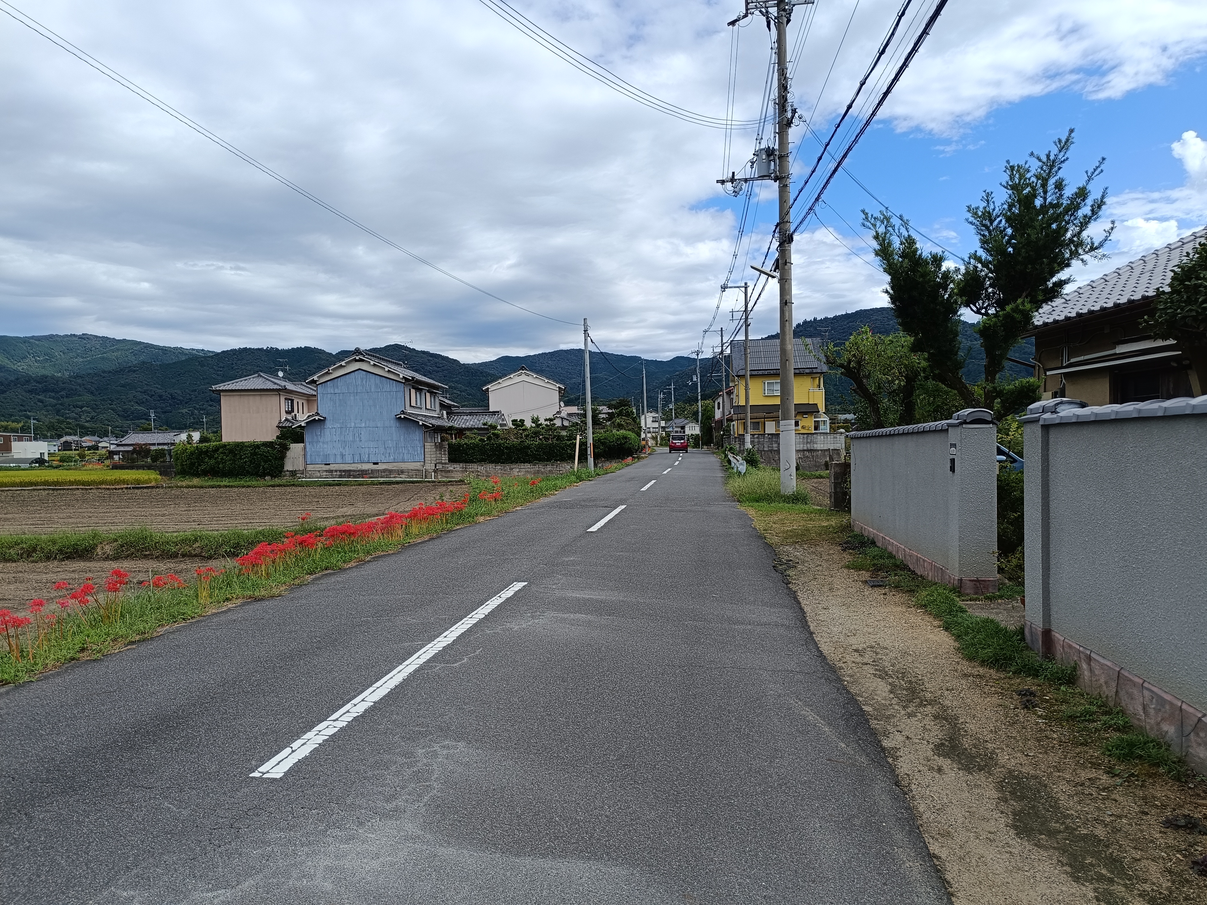 細い道を歩いていきます