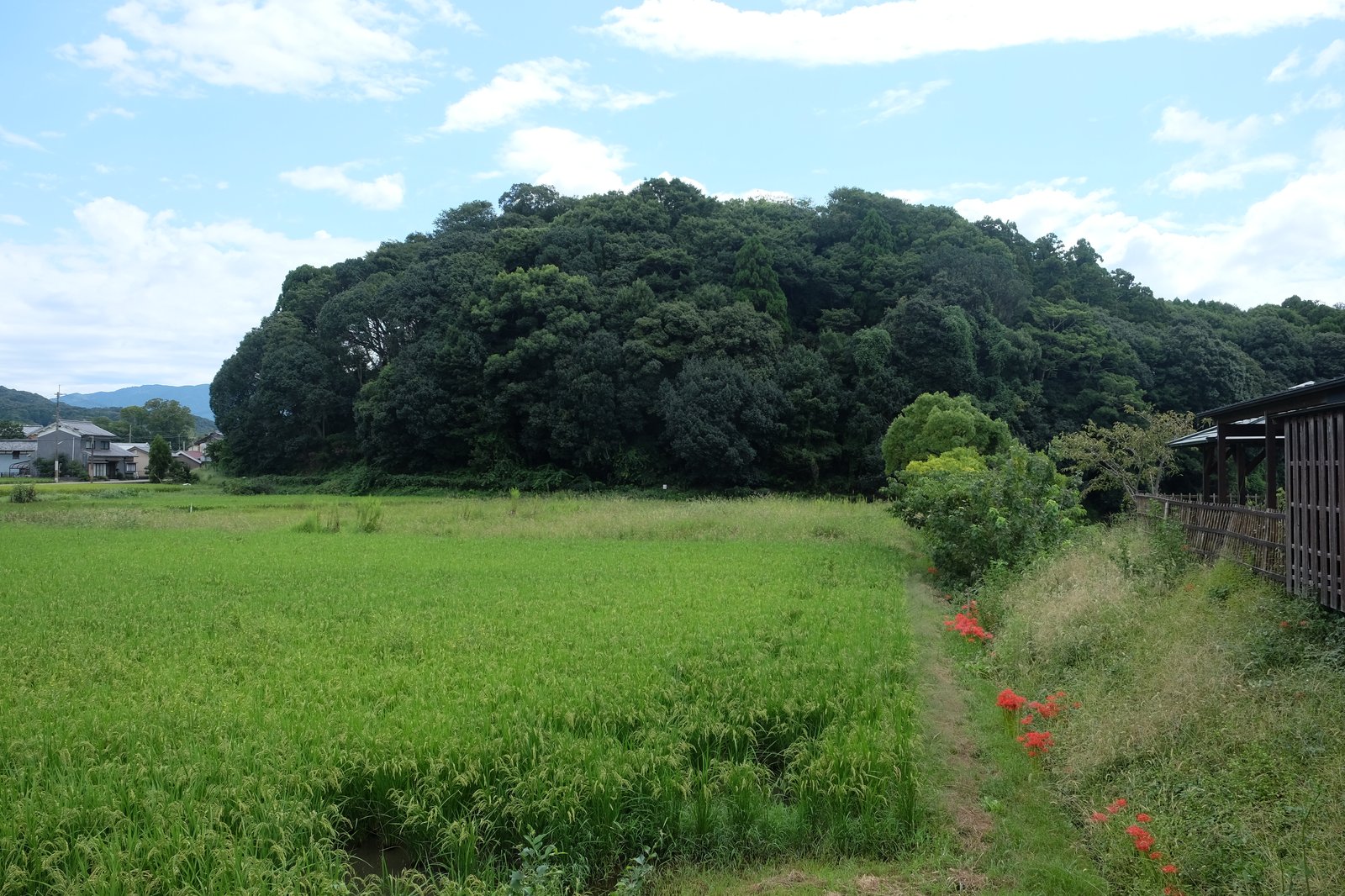 箸墓古墳の「後円」部分