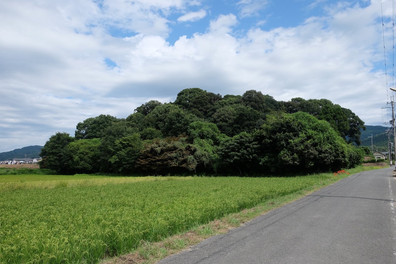 「前方」側から見る箸墓古墳