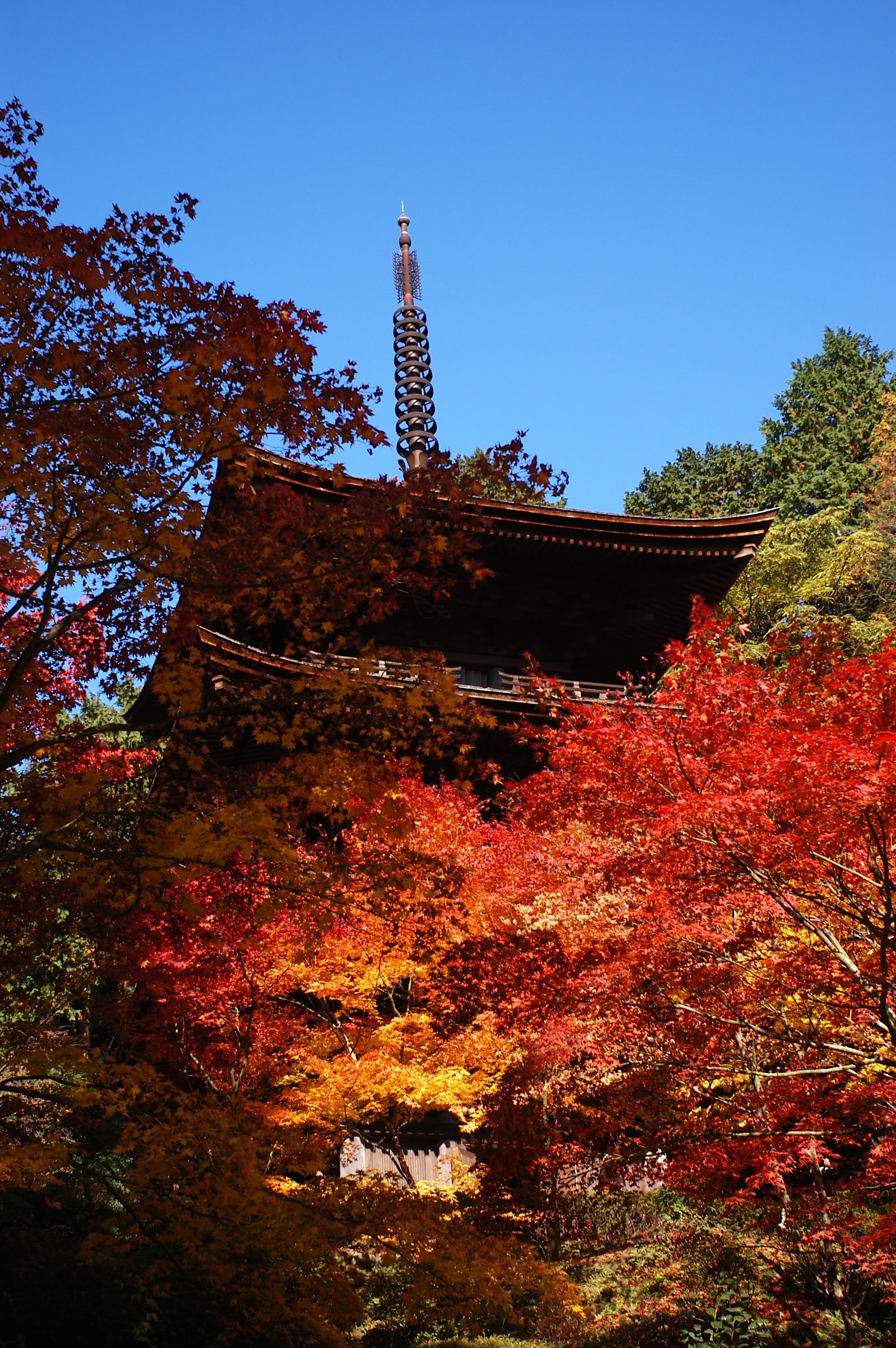 三重塔と紅葉