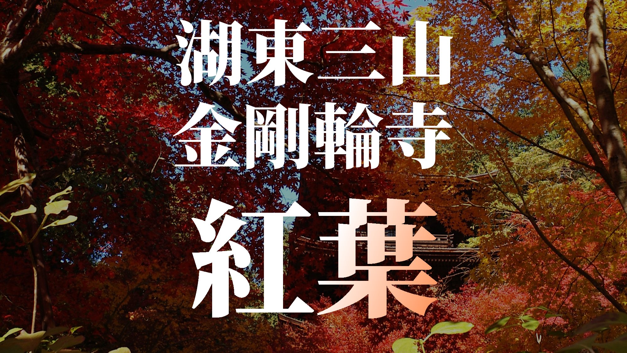 滋賀県の紅葉 - 湖東三山 金剛輪寺 featured image
