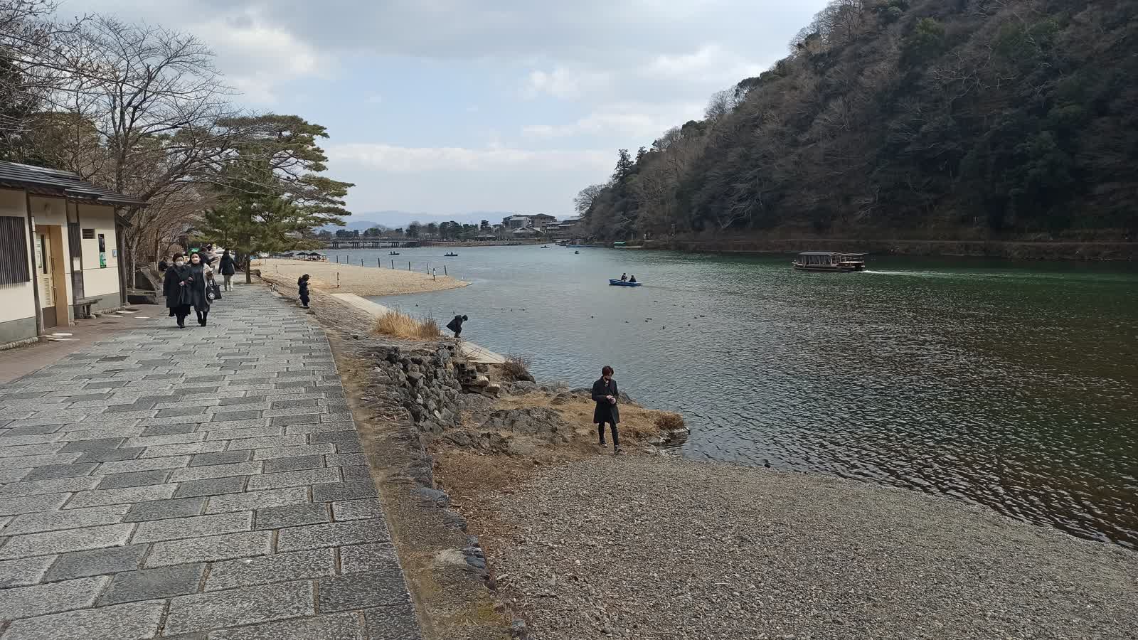 桂川沿い
