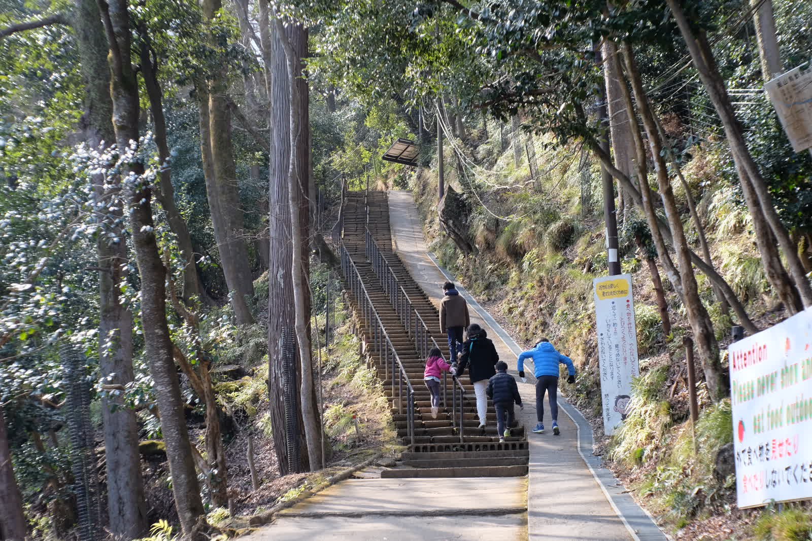山登り