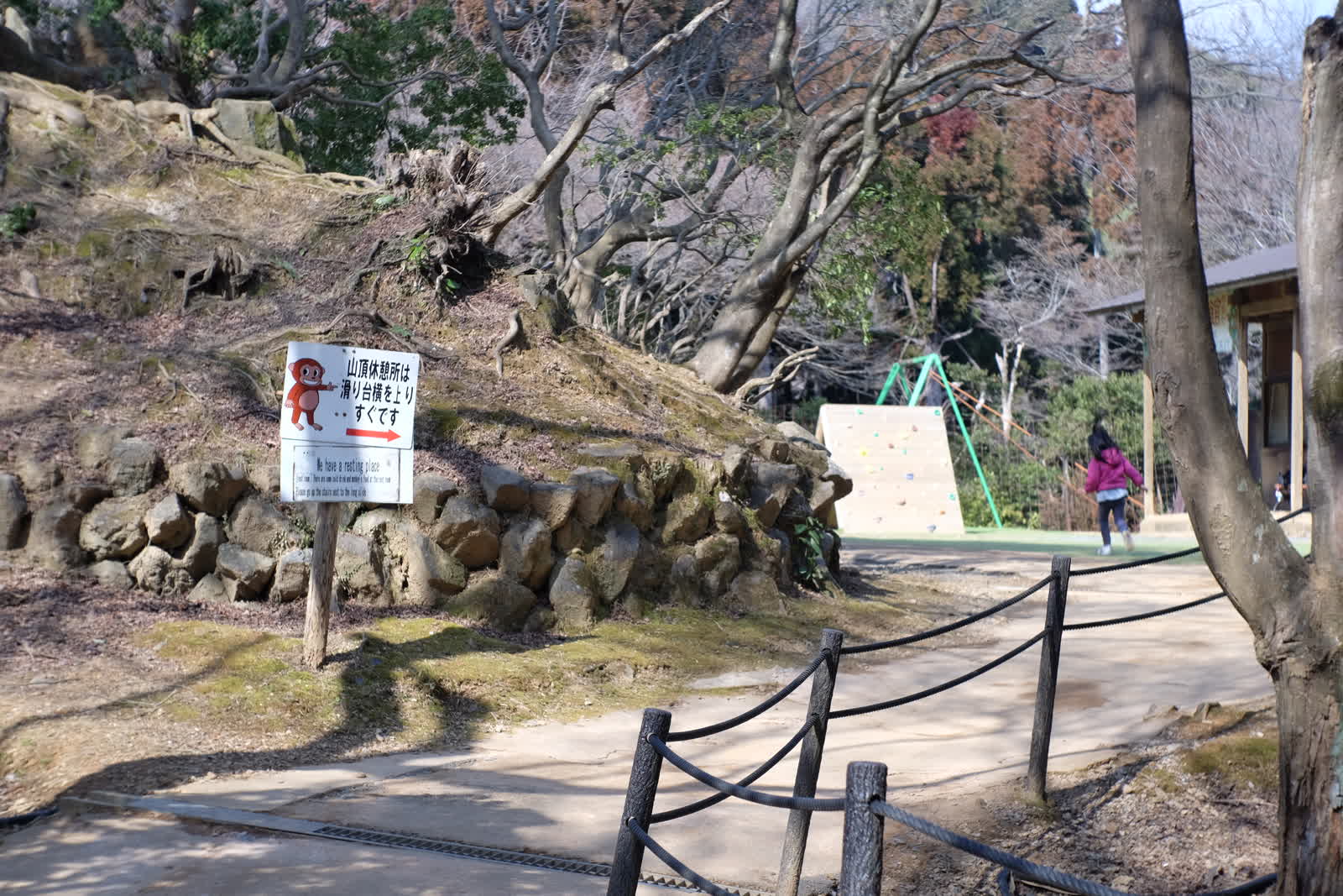 上まであがった