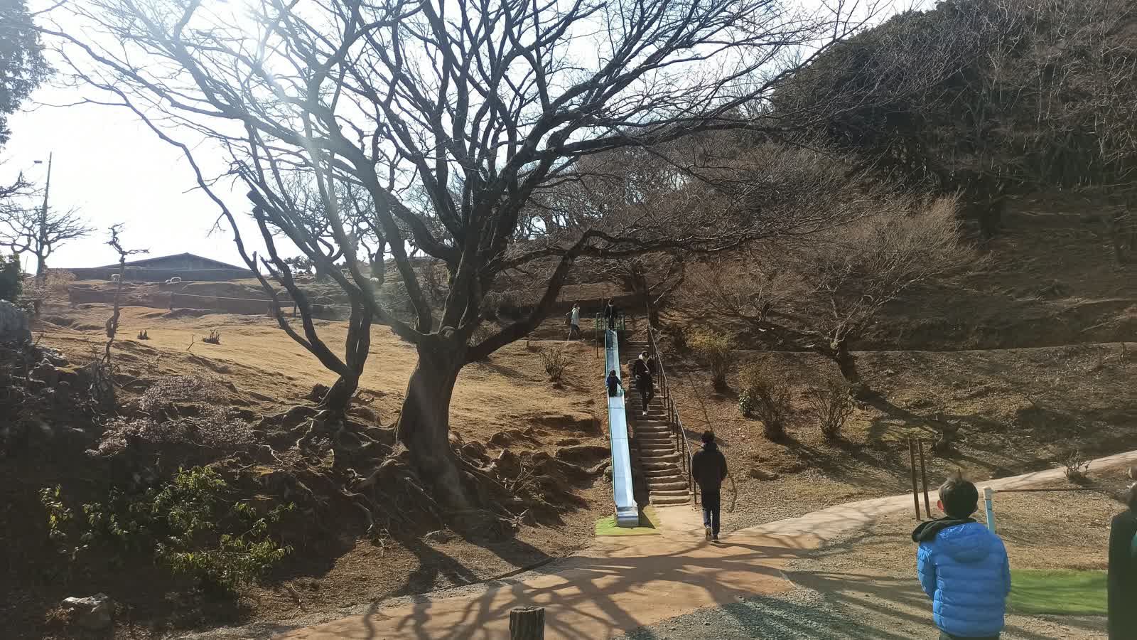 公園の滑り台