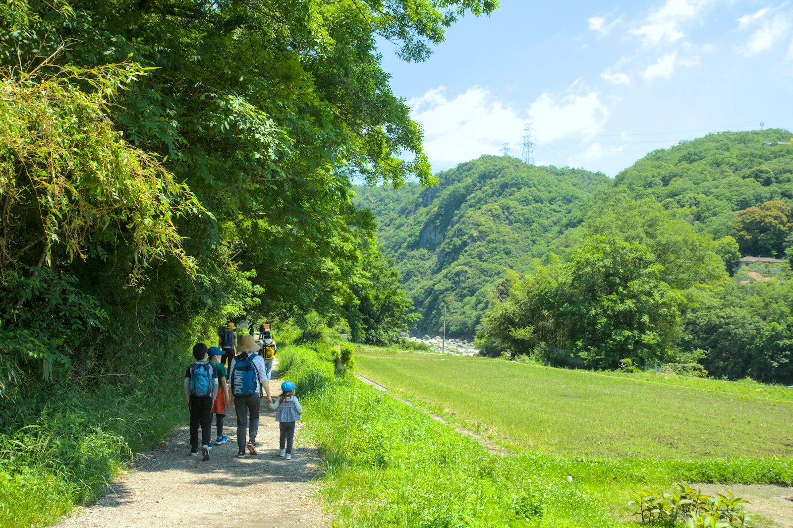 廃線跡の道