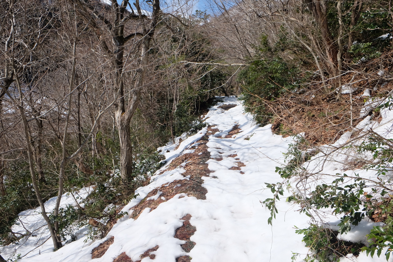 雪の山道