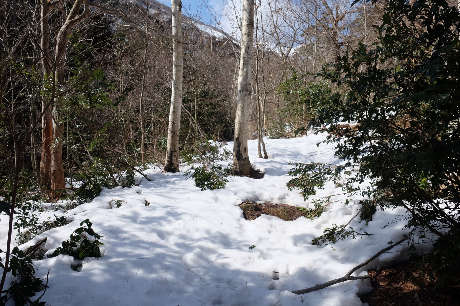 雪の山道