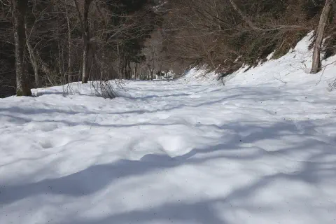 雪に覆われた車道