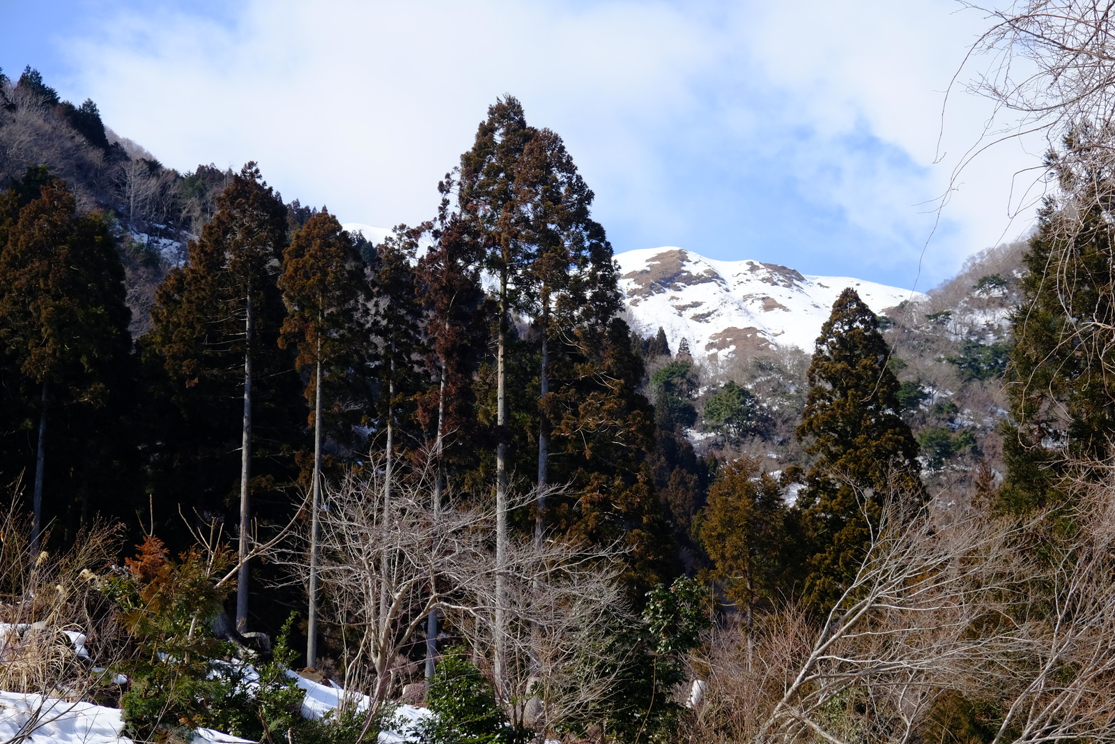 赤坂山