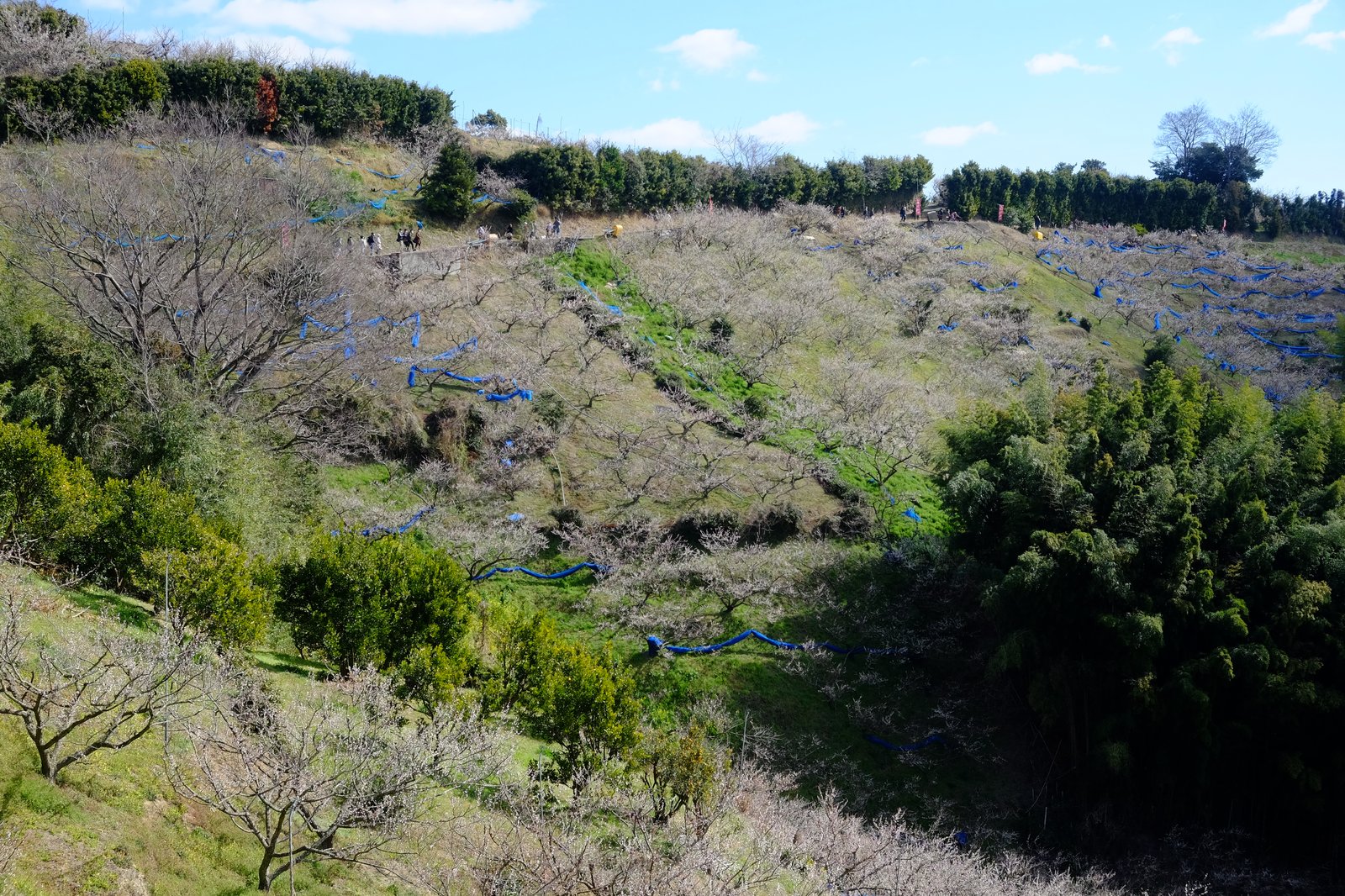 見渡しの良い尾根道
