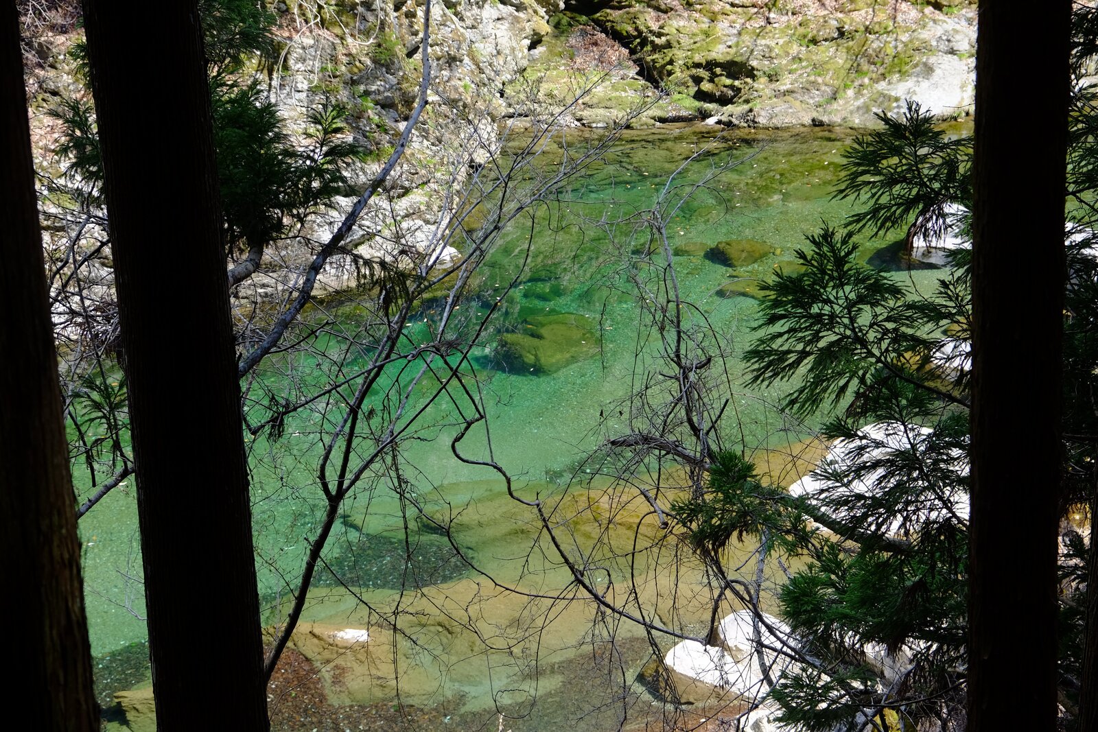 天ノ川の透き通った清流