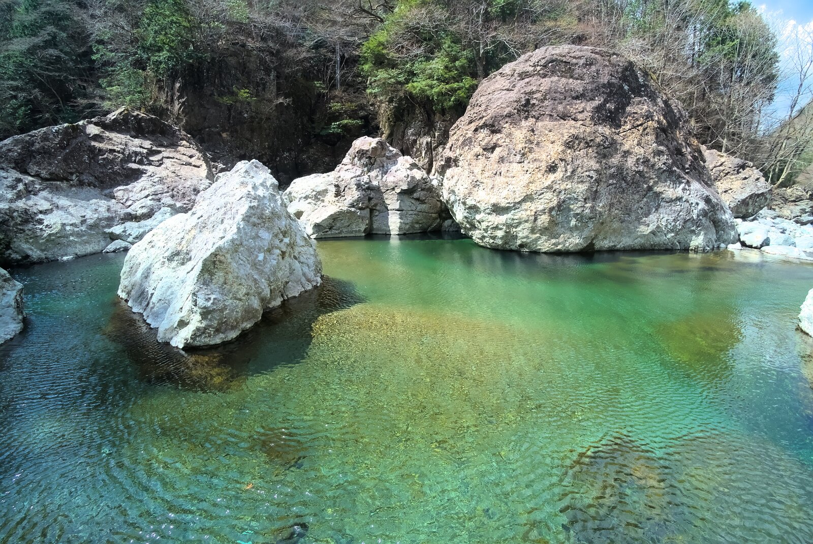 【家族でお出かけ】みたらい渓谷ハイキング featured image