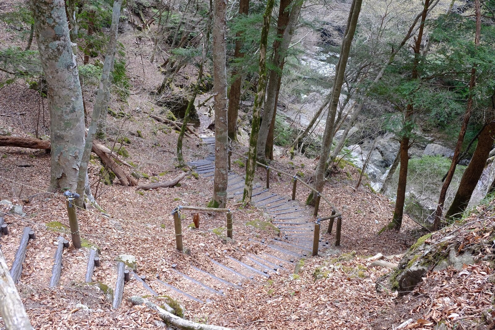 登ってきた階段