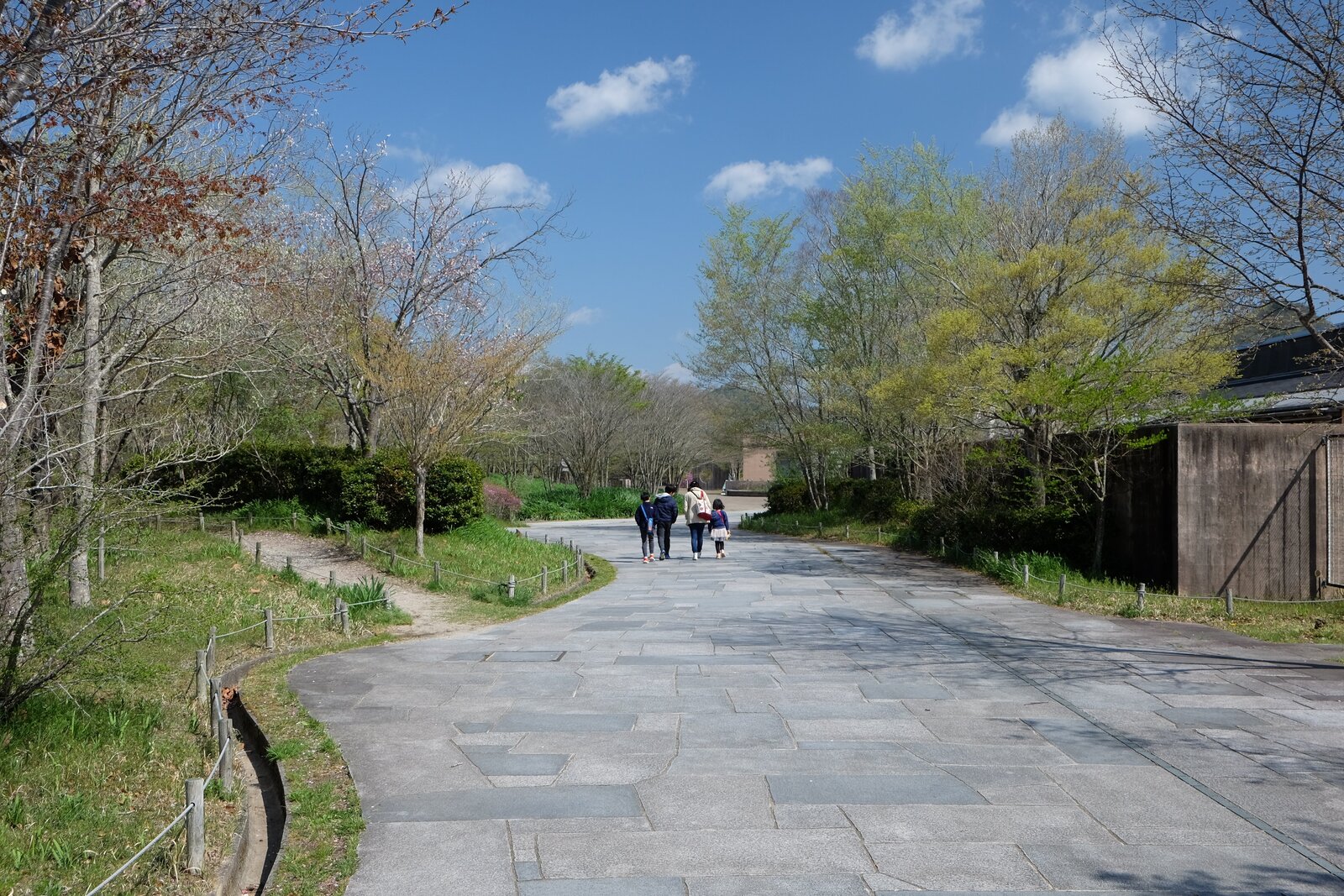 公園内を歩く