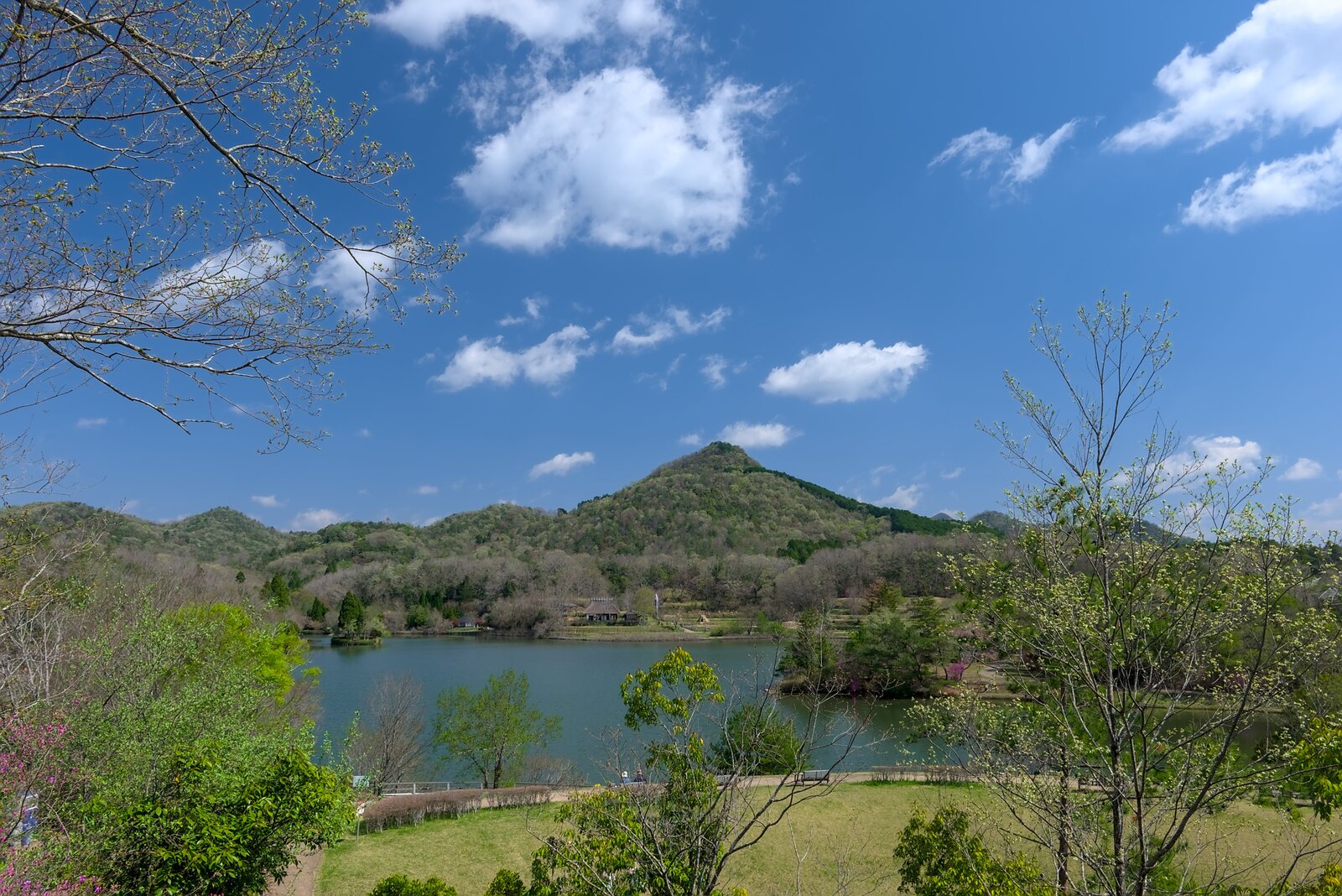 【家族で登山】兵庫県 有馬富士 featured image