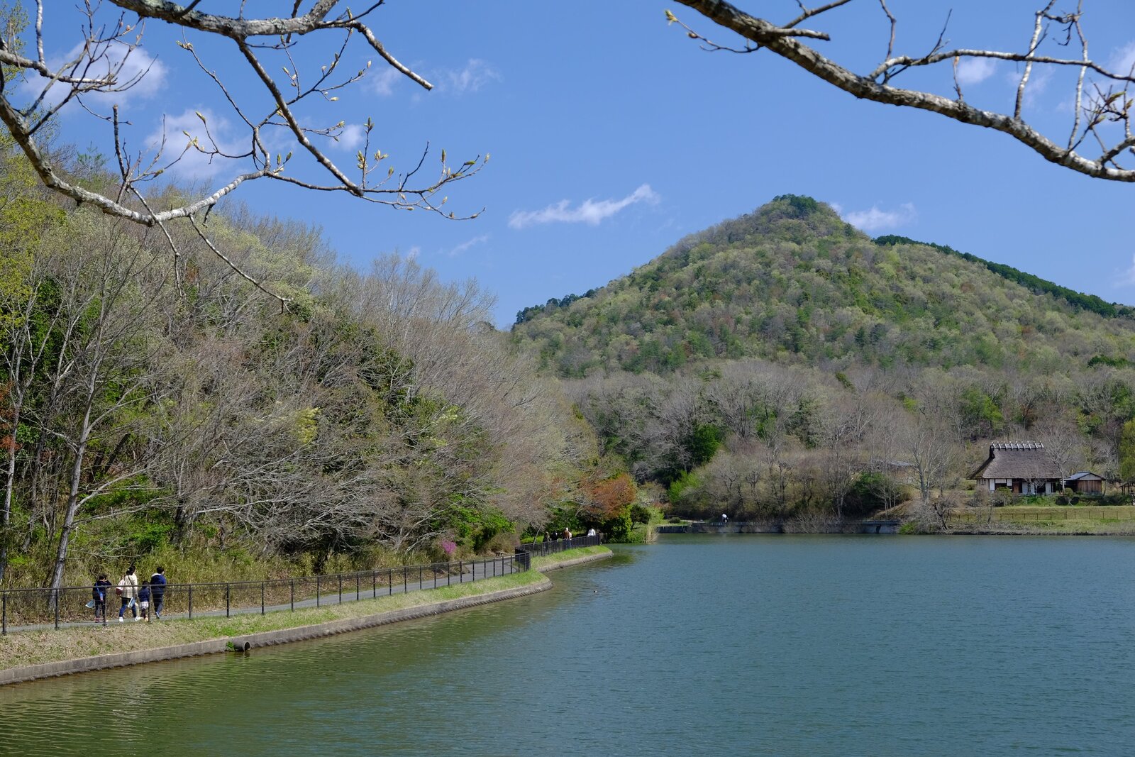 池の脇を歩く
