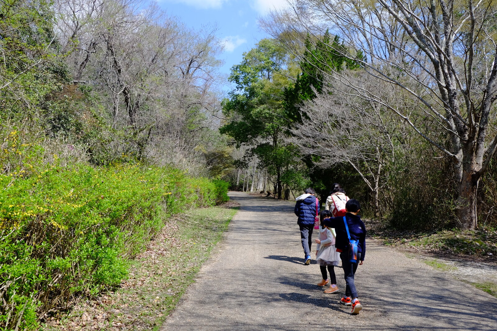 山登りの始まり