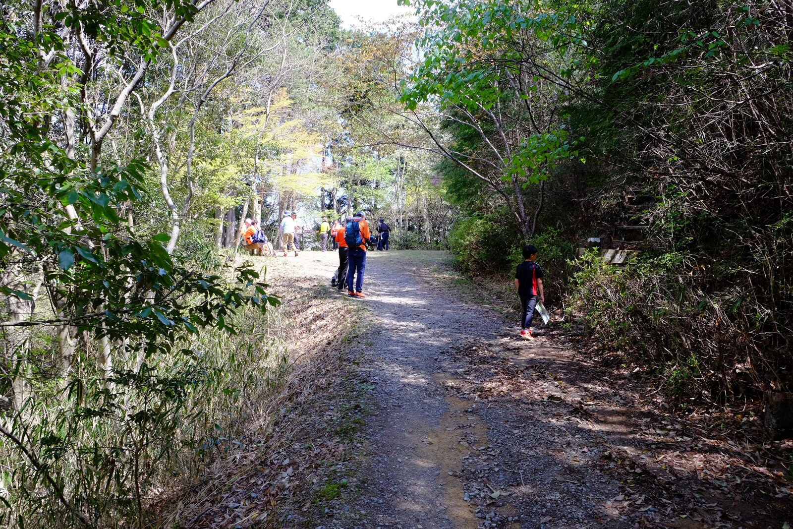 山頂への分岐