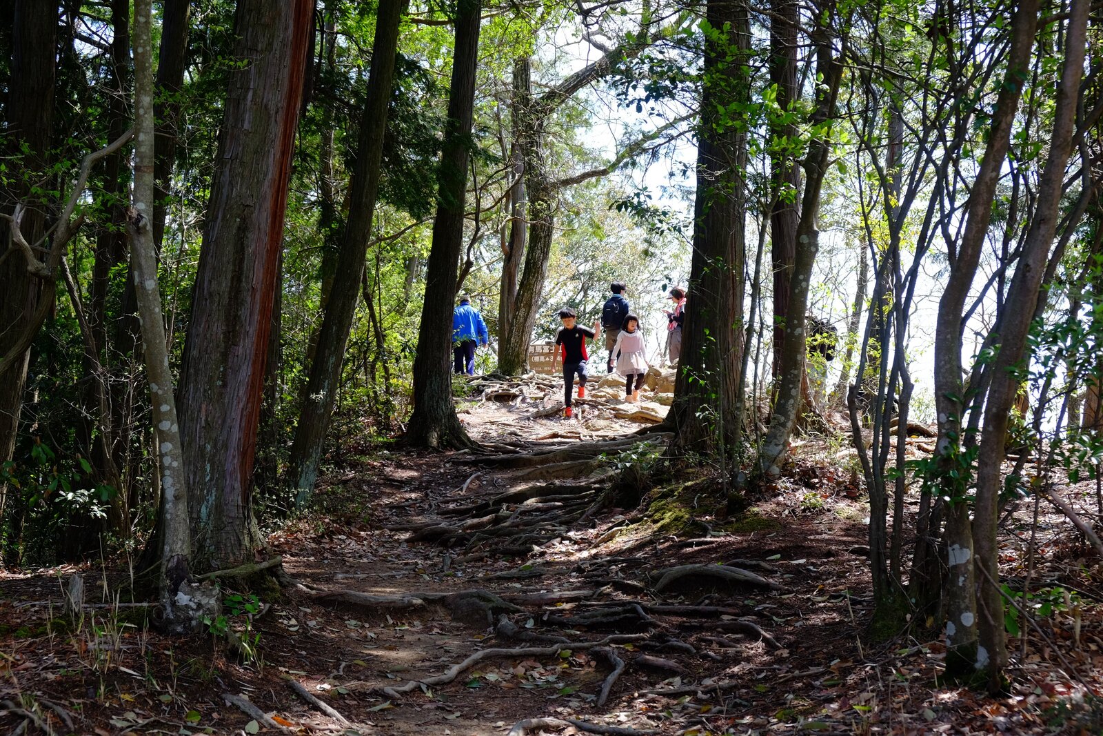 山頂に着いた