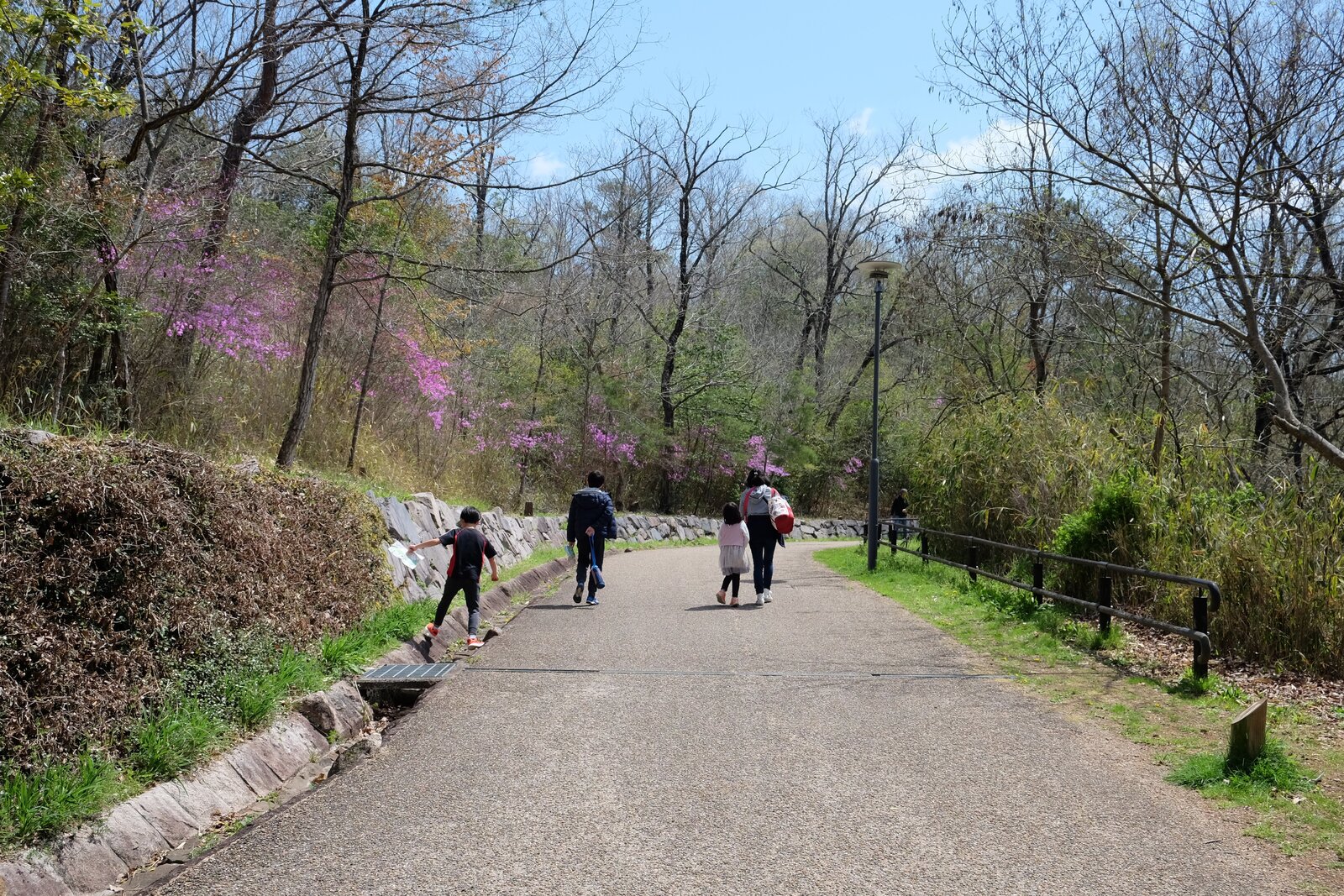 公園内の舗装された道