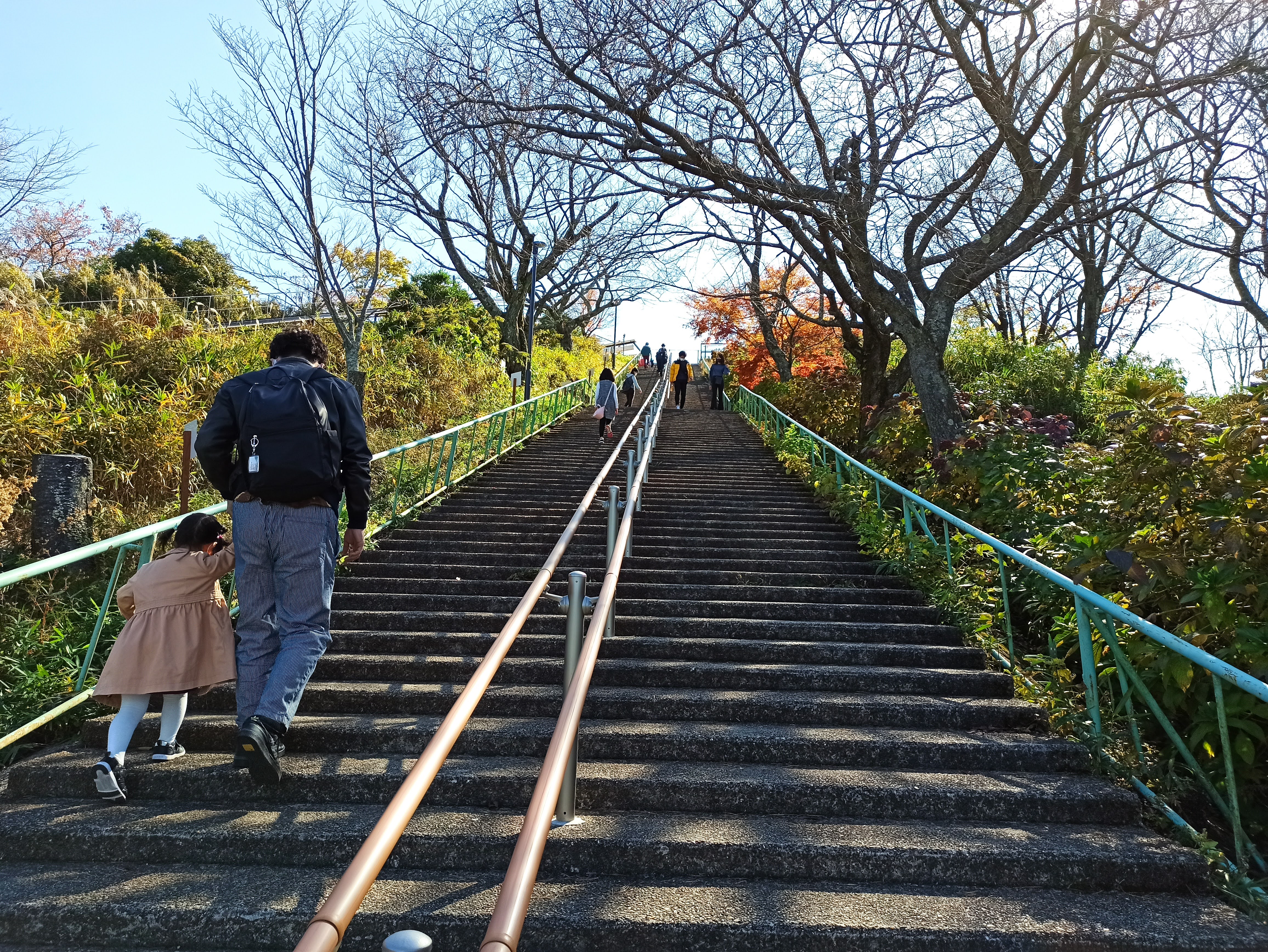 階段を登る