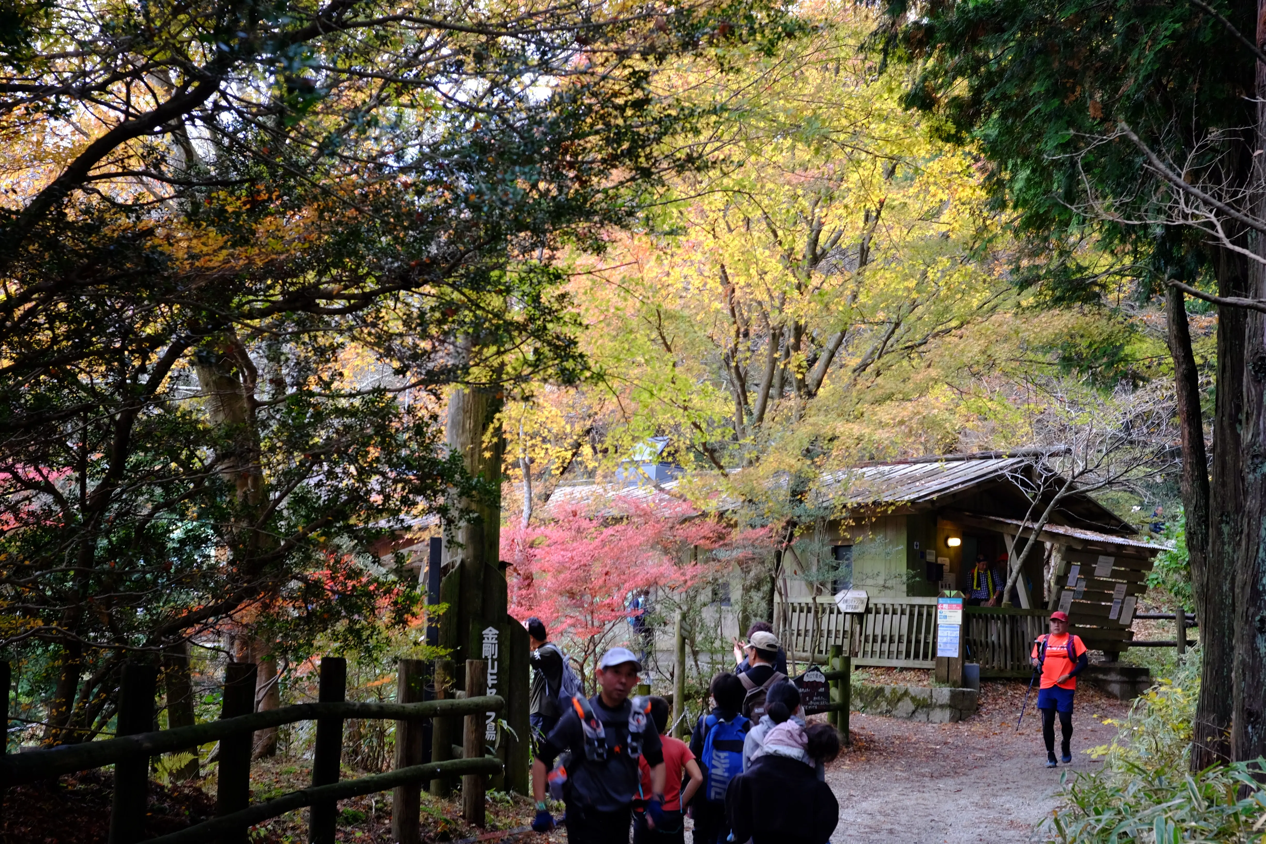 ちはや園地のキャンプ場前